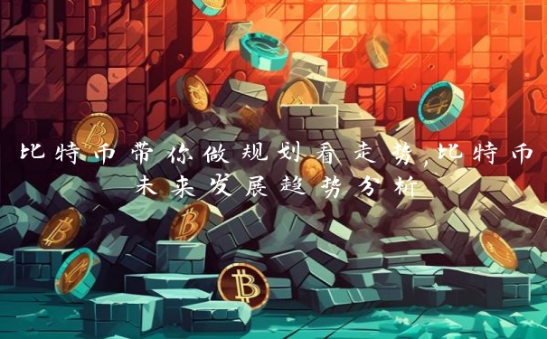 比特币带你做规划看走势,比特币未来发展趋势分析