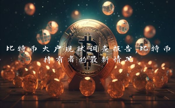 比特币大户现状调查报告,比特币持有者的最新情况