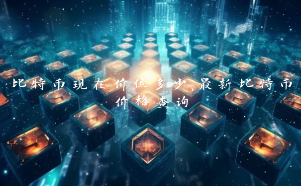 比特币现在价位多少,最新比特币价格查询