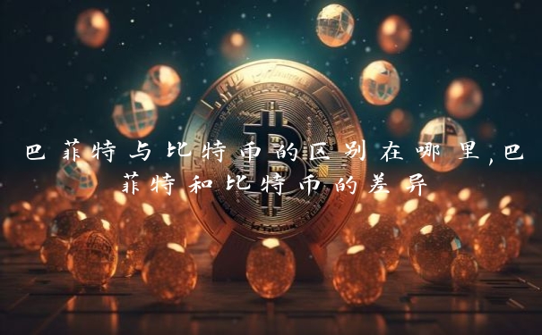 巴菲特与比特币的区别在哪里,巴菲特和比特币的差异
