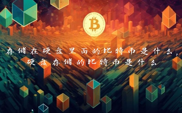 存储在硬盘里面的比特币是什么,硬盘存储的比特币是什么