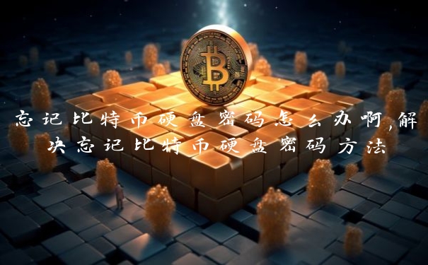 忘记比特币硬盘密码怎么办啊,解决忘记比特币硬盘密码方法