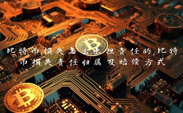 比特币损失怎么承担责任的,比特币损失责任归属及赔偿方式