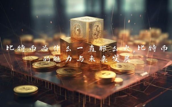 比特币为什么一直那么火,比特币的魅力与未来发展