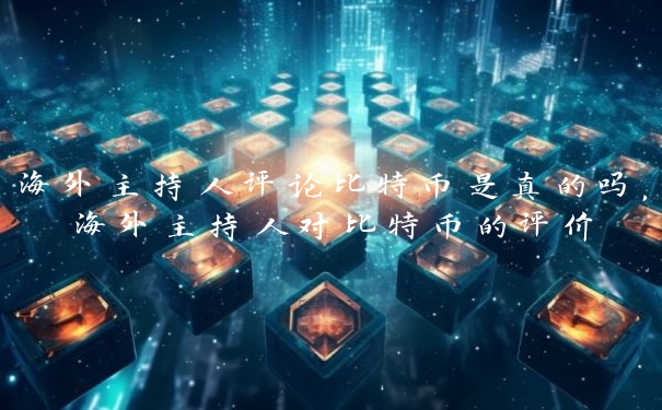 海外主持人评论比特币是真的吗，海外主持人对比特币的评价