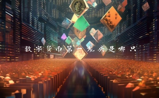 数字货币第一龙头是哪只