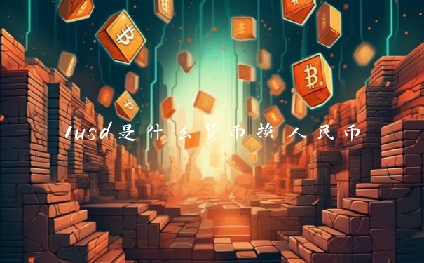 1usd是什么货币换人民币