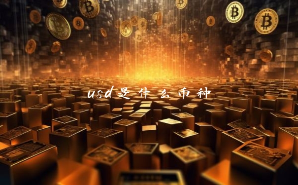 usd是什么币种