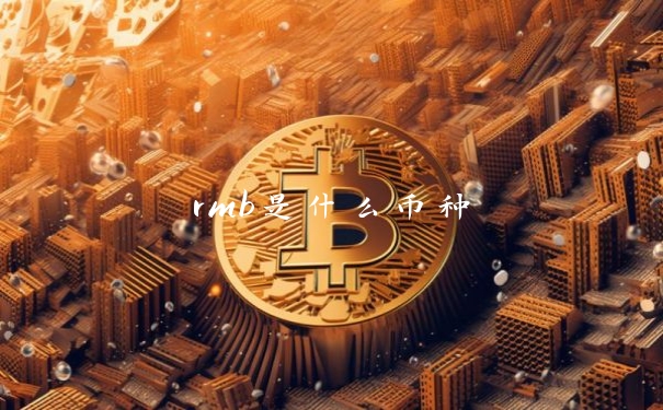 rmb是什么币种