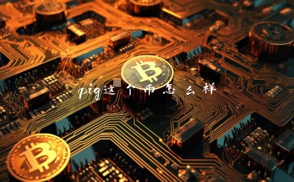 pig这个币怎么样