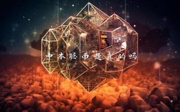 中本聪币是真的吗