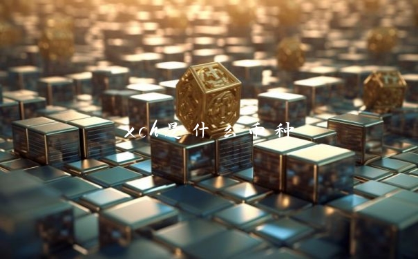 xch是什么币种