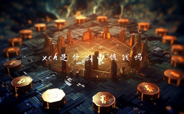 xch是什么币值钱吗