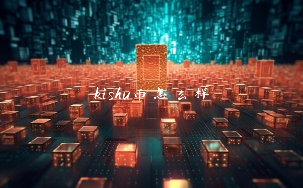 kishu币怎么样